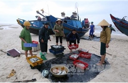 Quảng Bình: Khắc phục sự cố môi trường, quyết tâm vươn khơi bám biển